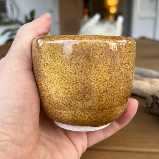 tos-no1a-i-t5fjg24jzw-no/4aac2f30be4d46fdbb84e06a712ff2f7